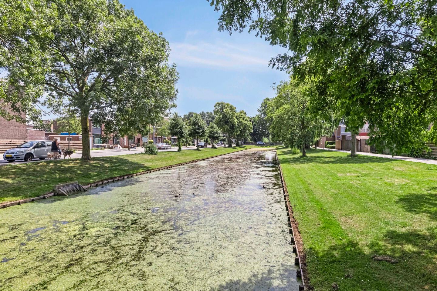 Photo 25 of Willem Weysingel 15