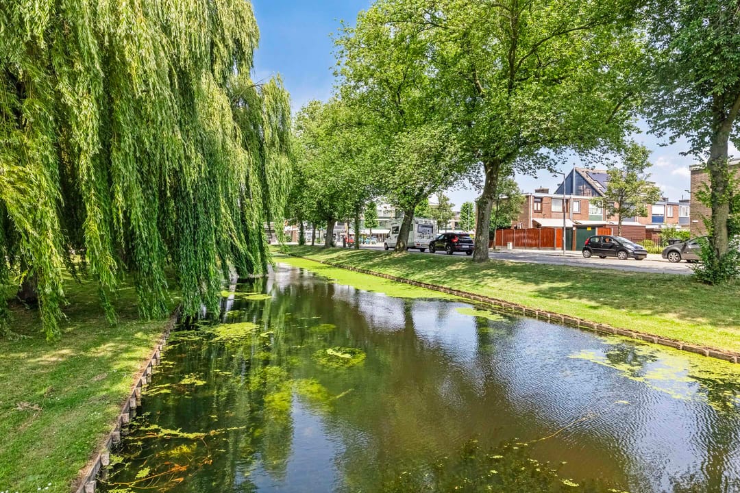 Photo 26 of Willem Weysingel 15