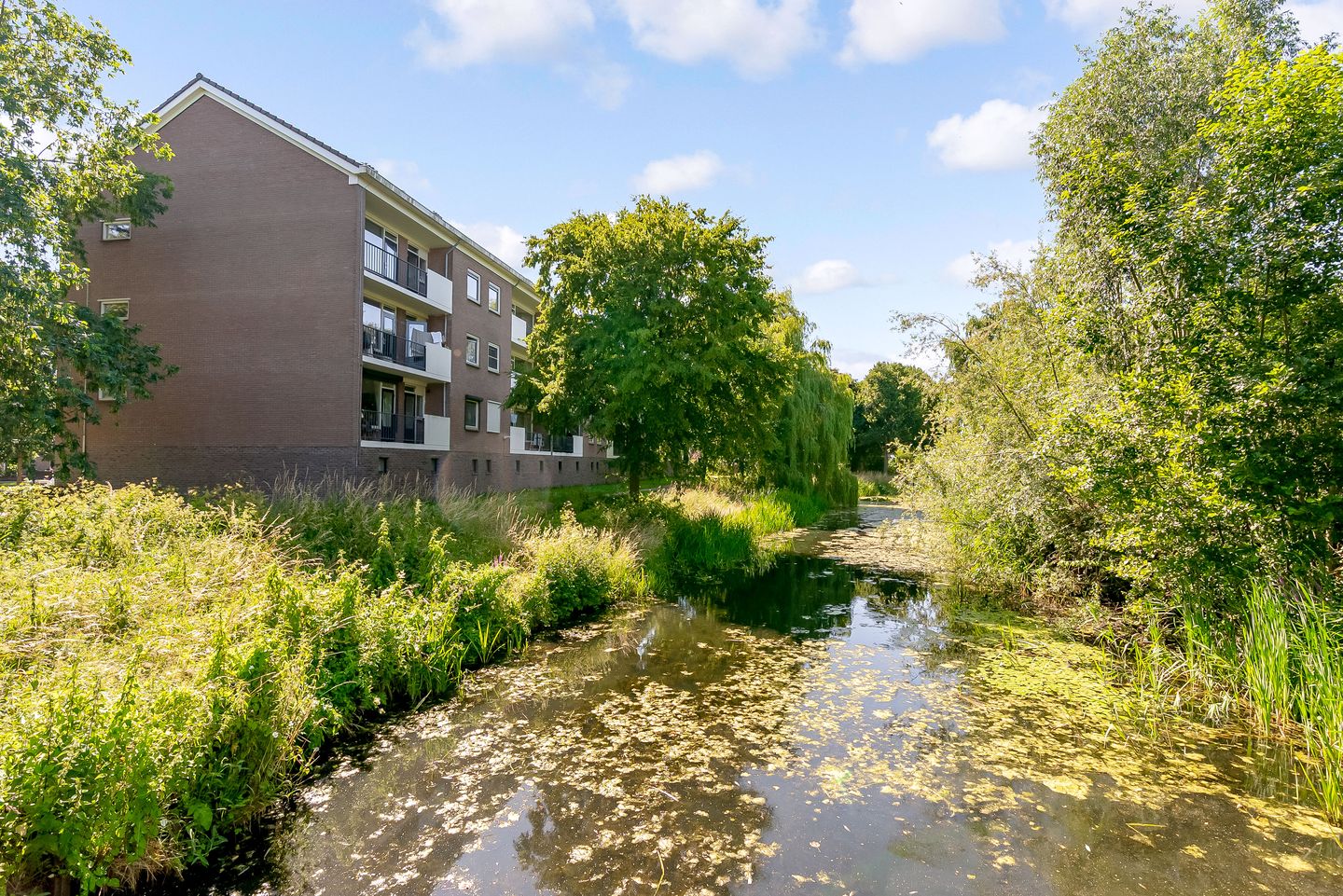 Foto 44 van Botterstraat 39