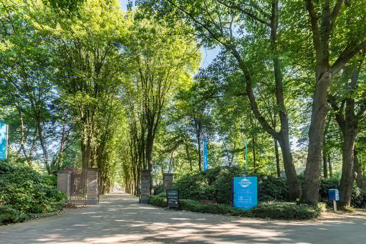 Foto 27 van Immenweg 15-R670