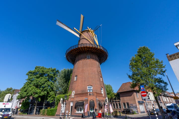 Foto 30 van Merelstraat 3