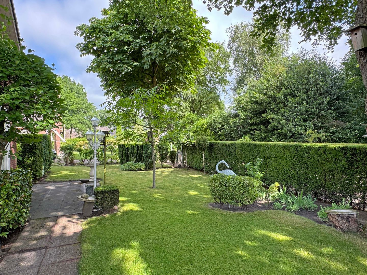 Foto 4 van Sleedoornstraat 26