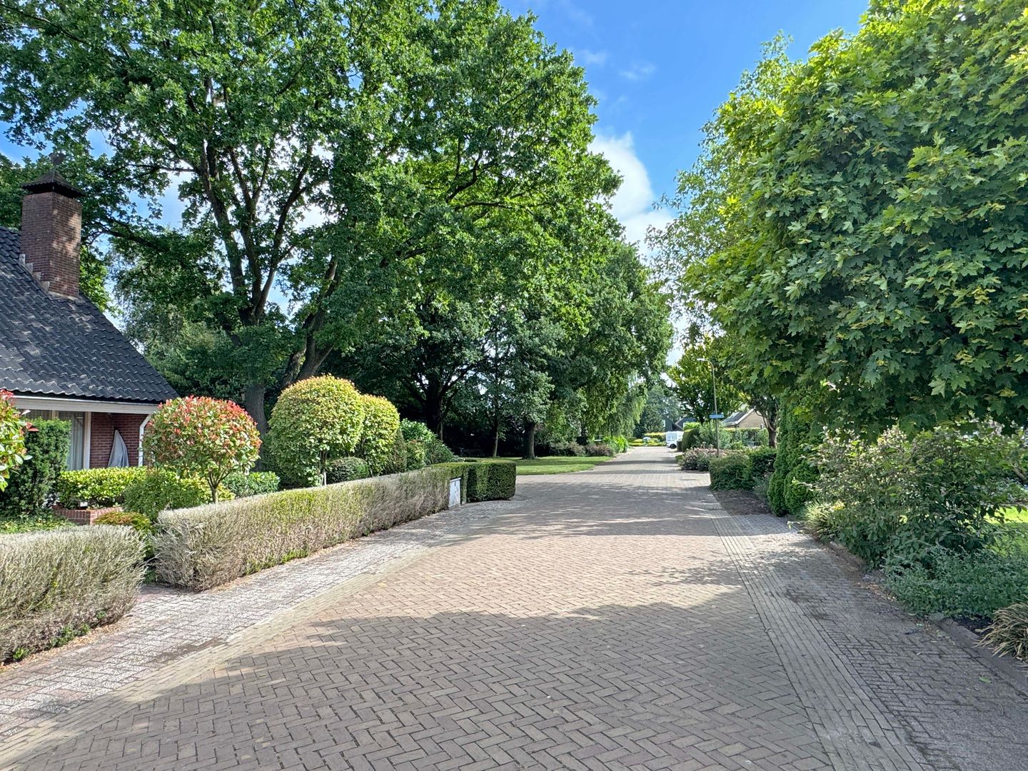 Foto 10 van Sleedoornstraat 26