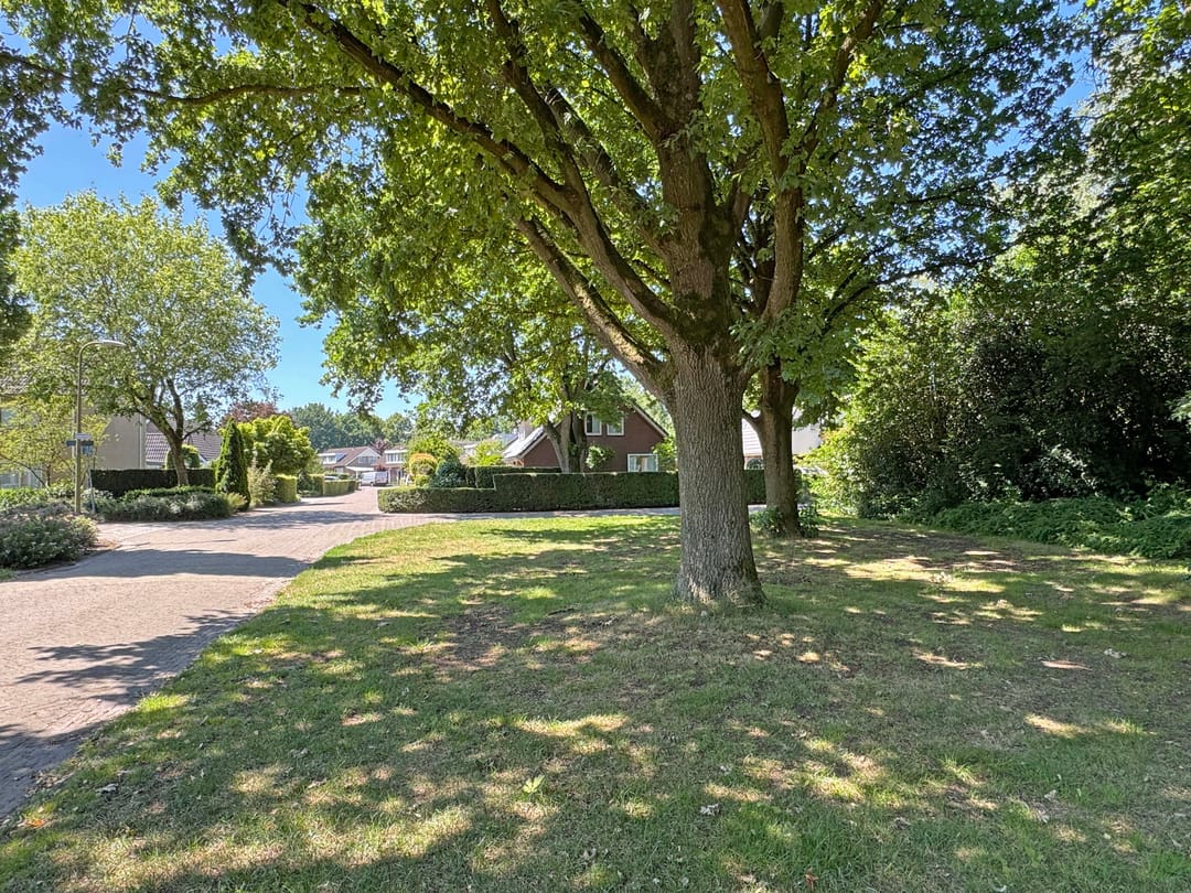 Foto 13 van Sleedoornstraat 26