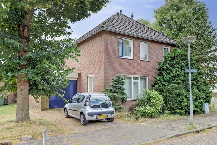 undefined main image