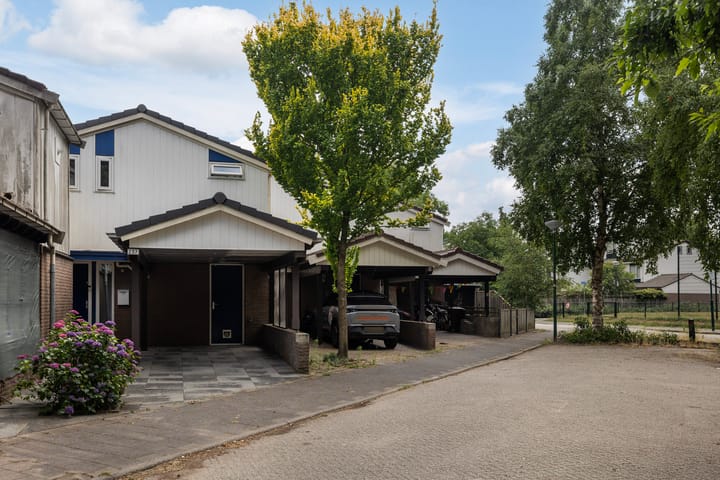 Foto 1 van Gemini 237