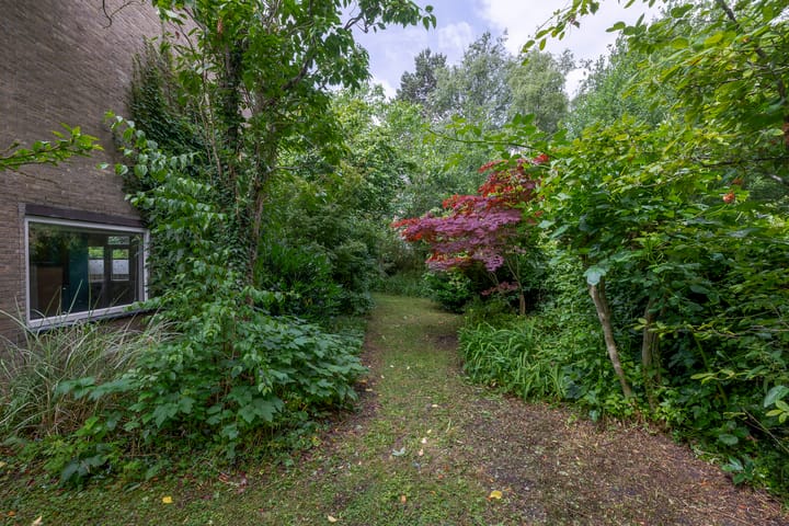 Foto 24 van Dalenoord 48