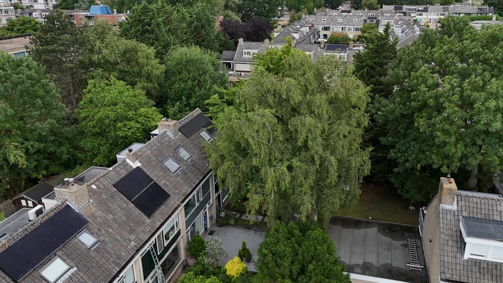 Foto 40 van Dalenoord 48