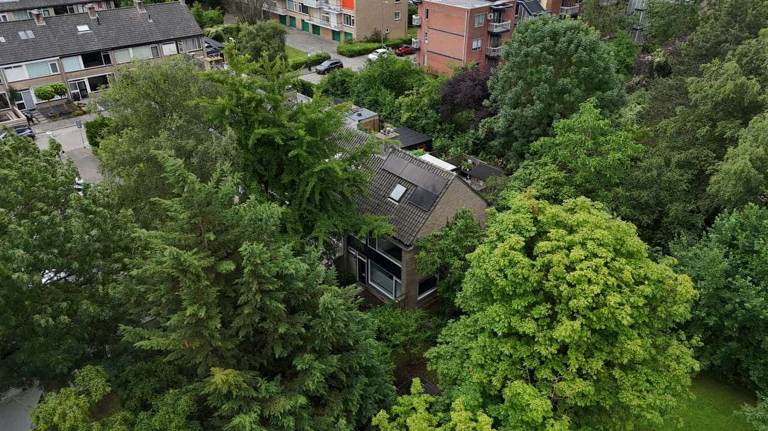 Foto 41 van Dalenoord 48