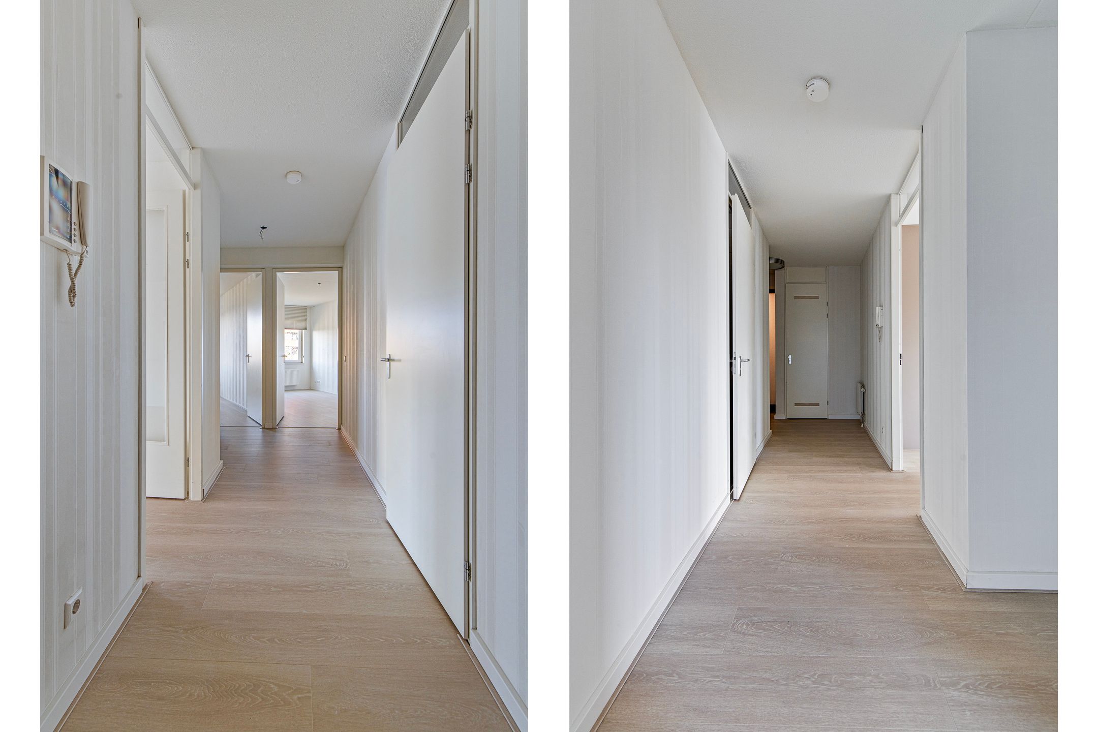 Foto 18 van Zalm 214