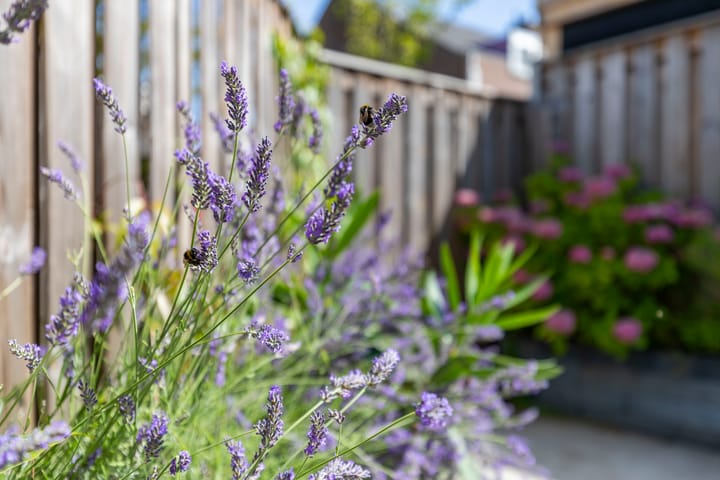 Foto 40 van Kinkelenburg 84