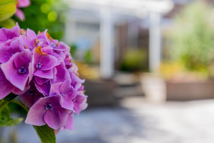 Foto 41 van Kinkelenburg 84