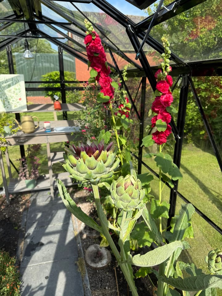 Foto 9 van Rijksweg 29