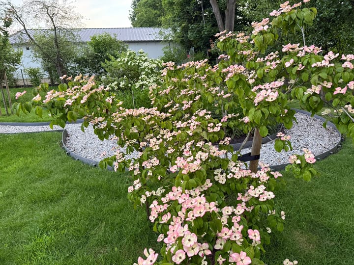 Foto 10 van Rijksweg 29