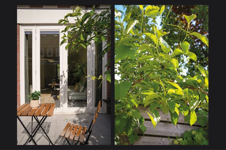 Foto 17 van Houtstraat 49