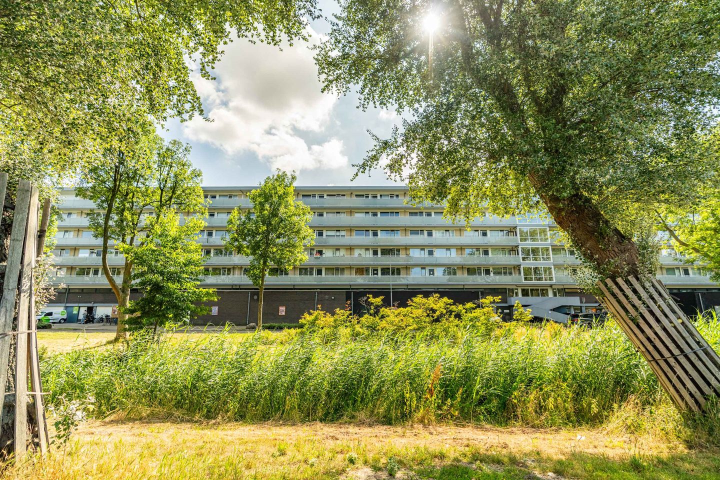 Foto 1 van Prins Frederiklaan 219