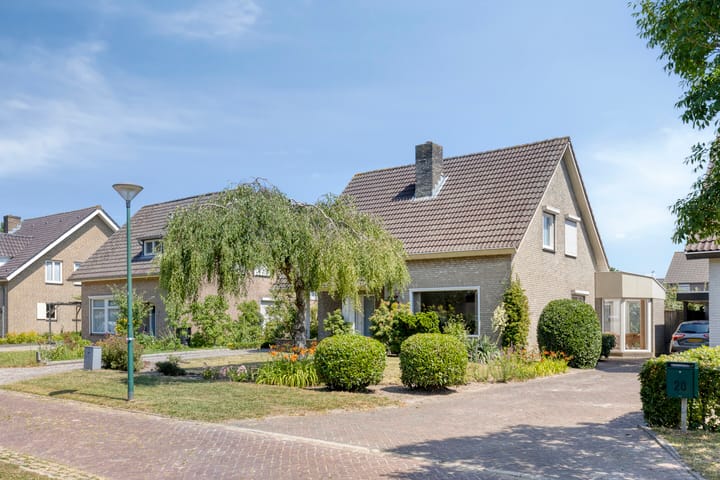 undefined main image