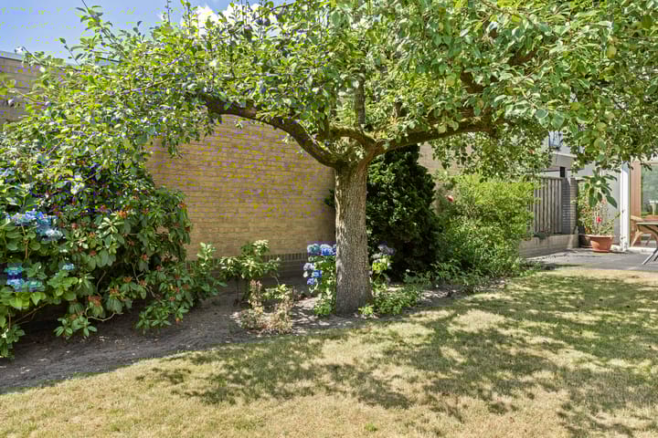 Foto 4 van Schaapsdijk 22