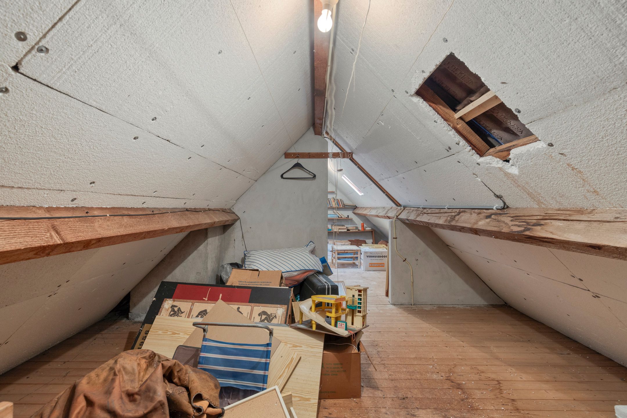 Photo 27 of Schaapsdijk 22