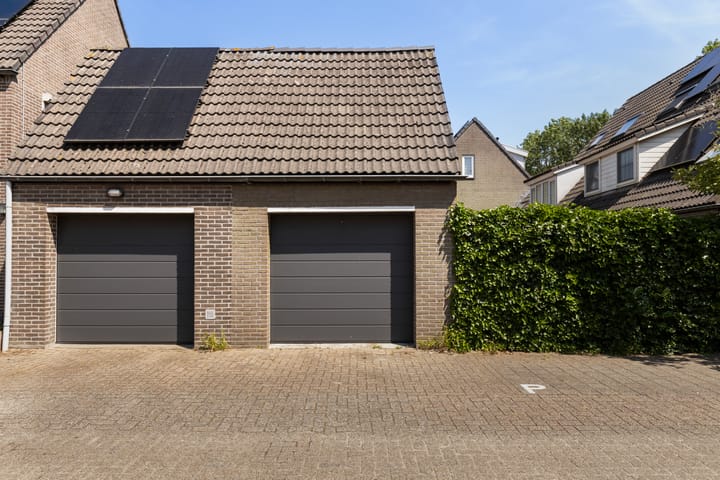 Foto 4 van Tijmgaarde 4