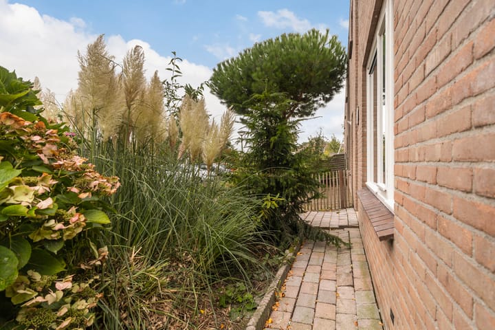 Foto 9 van Humaldastate 2