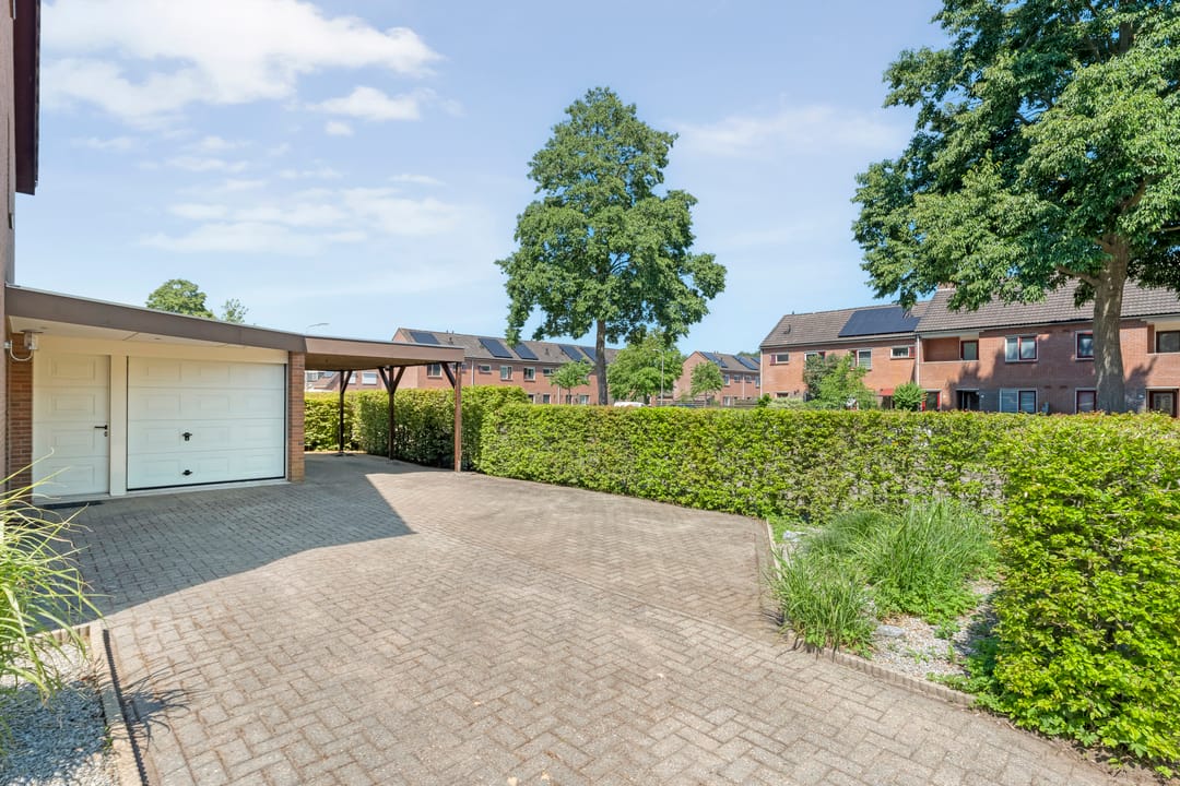 Foto 7 van De Lisdodde 1