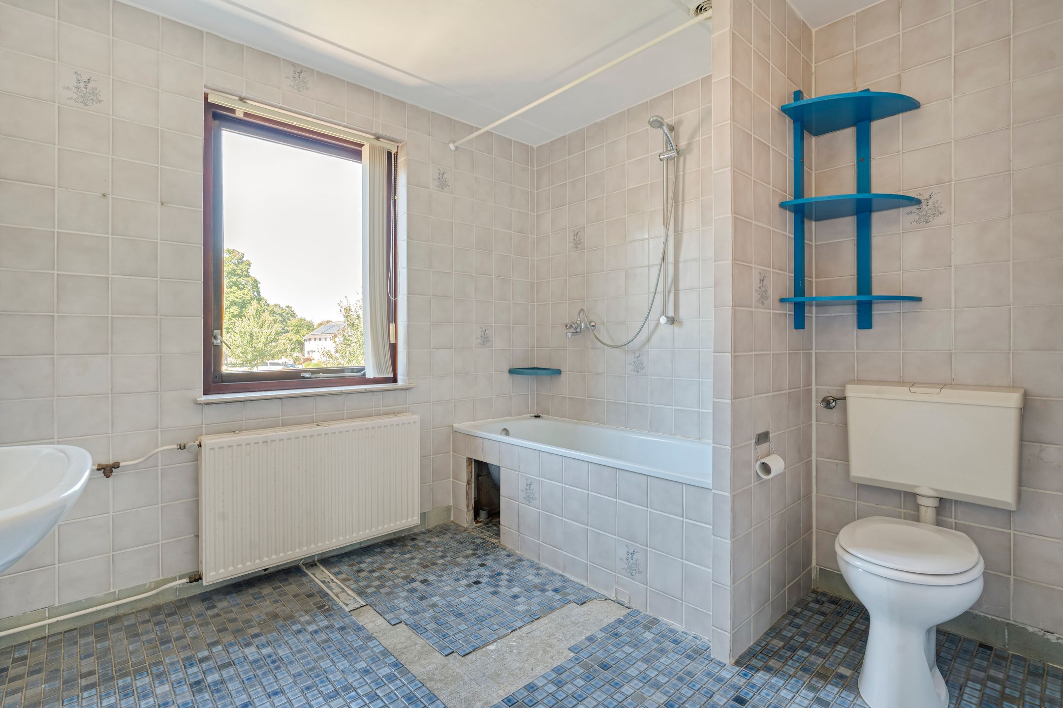 Foto 33 van De Lisdodde 1