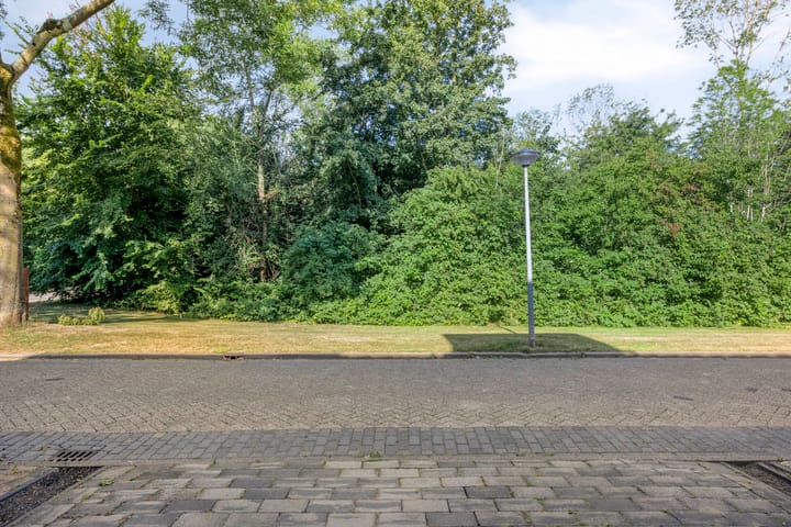 Photo 33 of Horst 15 4