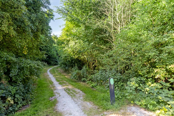 Photo 35 of Horst 15 4