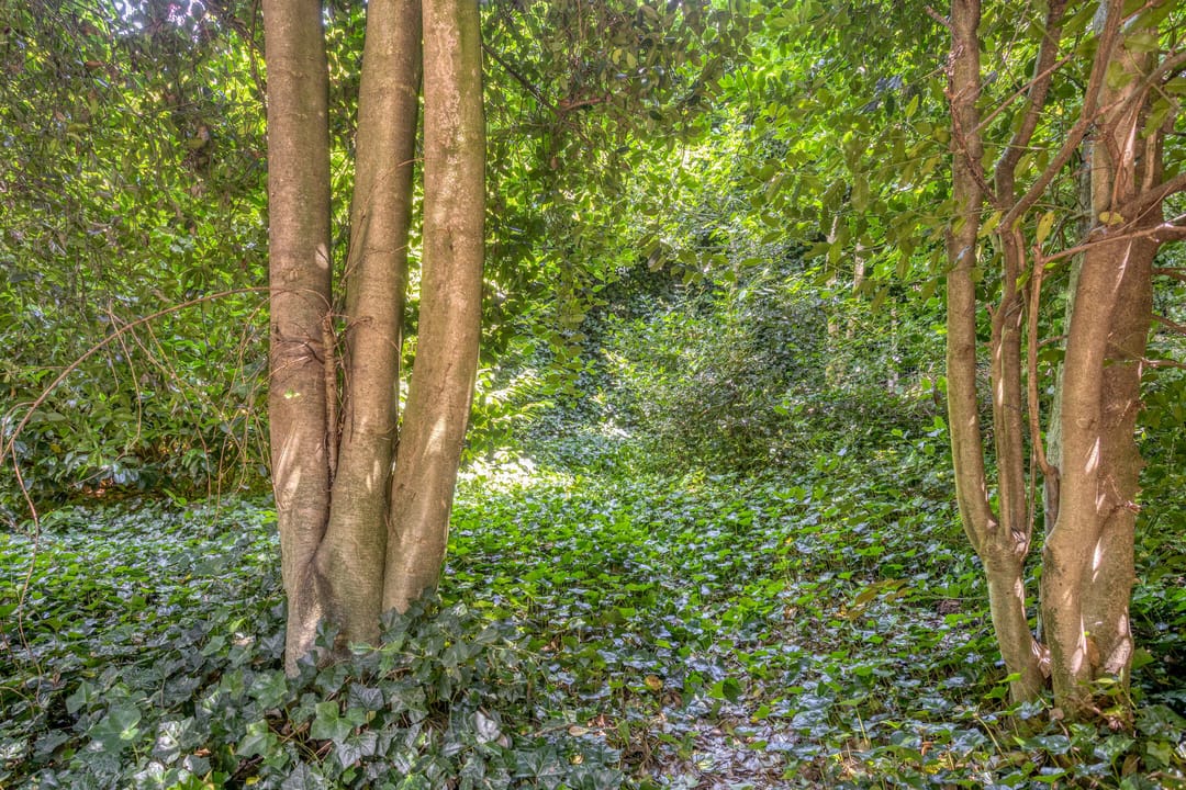 Foto 31 van Bovensteweg 34