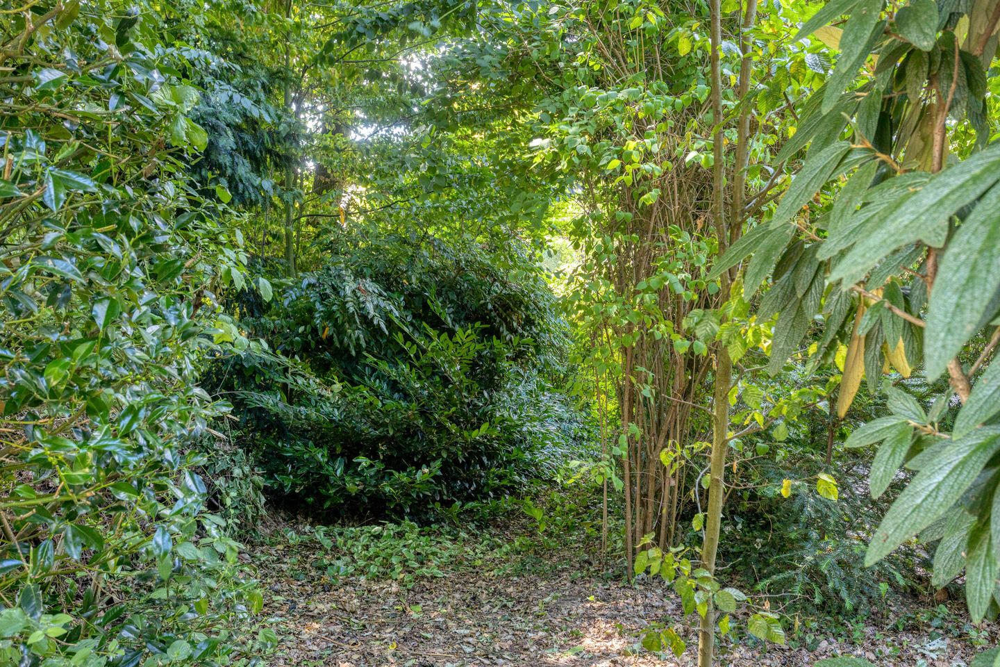 Foto 35 van Bovensteweg 34