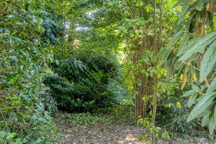 Foto 35 van Bovensteweg 34