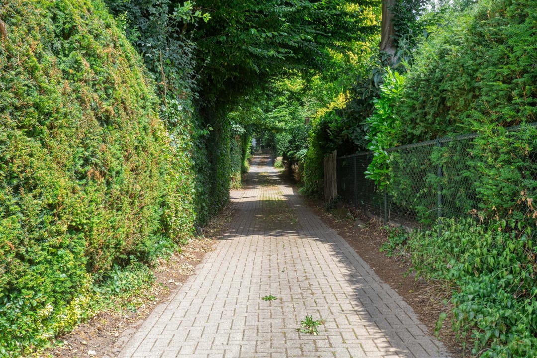 Foto 37 van Bovensteweg 34