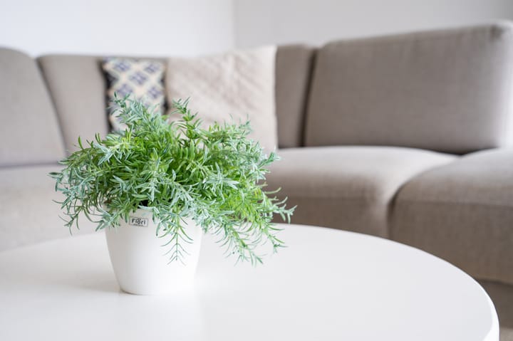 Photo 16 of Parkweg 2-306