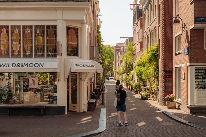 Foto 25 van Looiersgracht 118