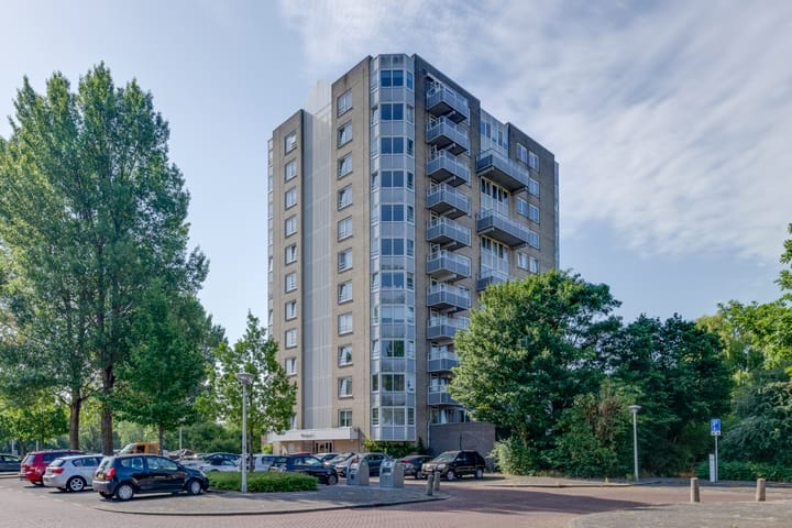 Photo 4 of Rosa Spierlaan 360