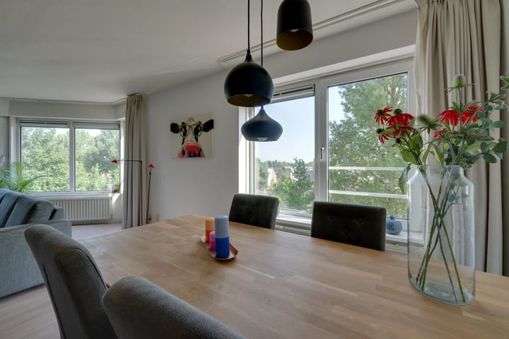 Foto 24 van Rosa Spierlaan 360