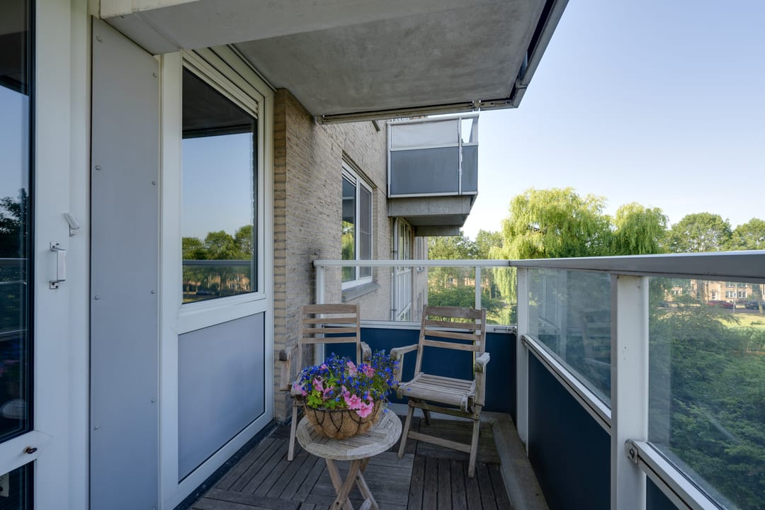 Photo 38 of Rosa Spierlaan 360