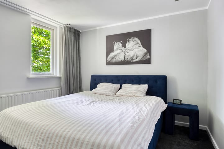 Foto 17 van Dr. Schaepmanlaan 11