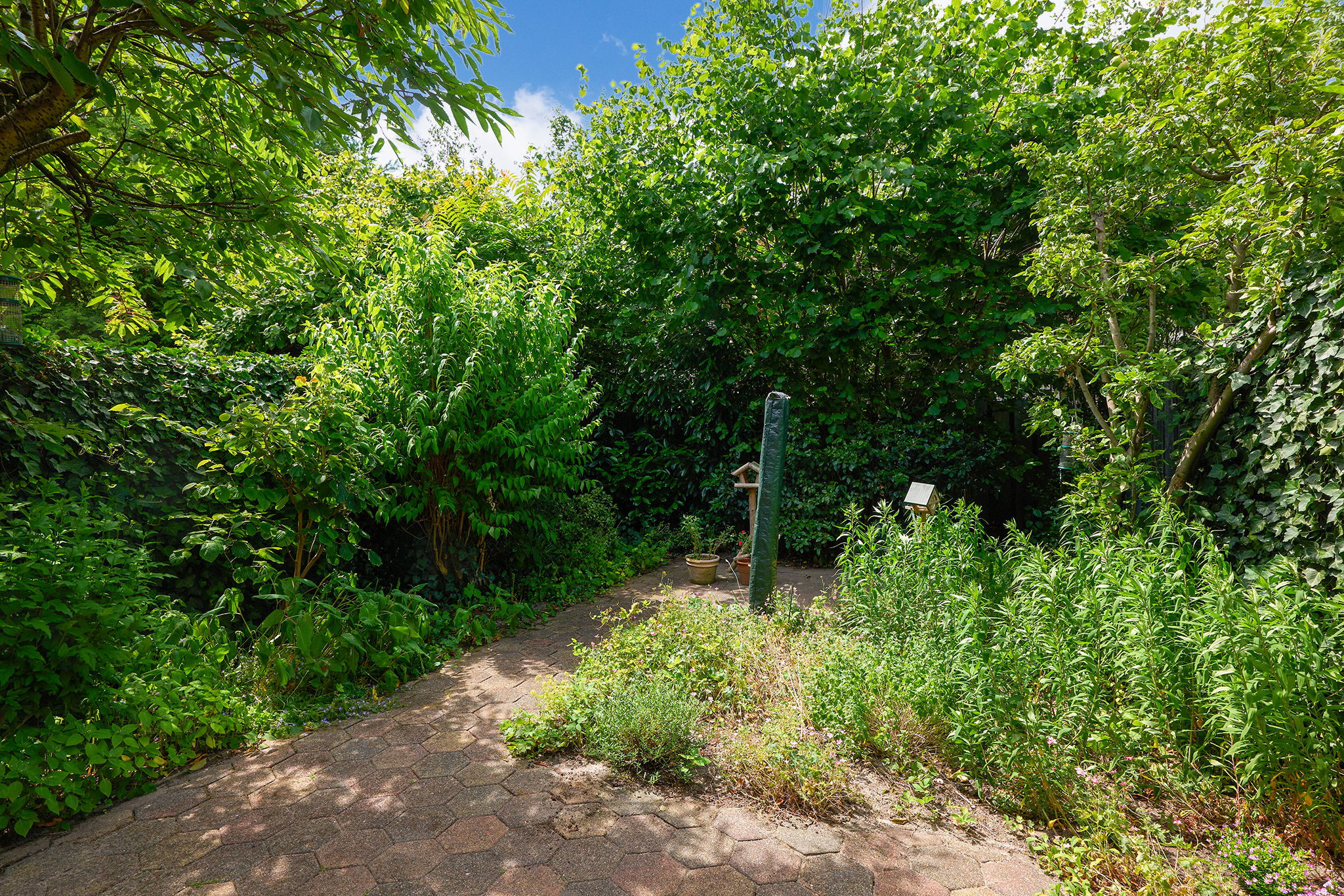 Foto 6 van Nemelaar 10