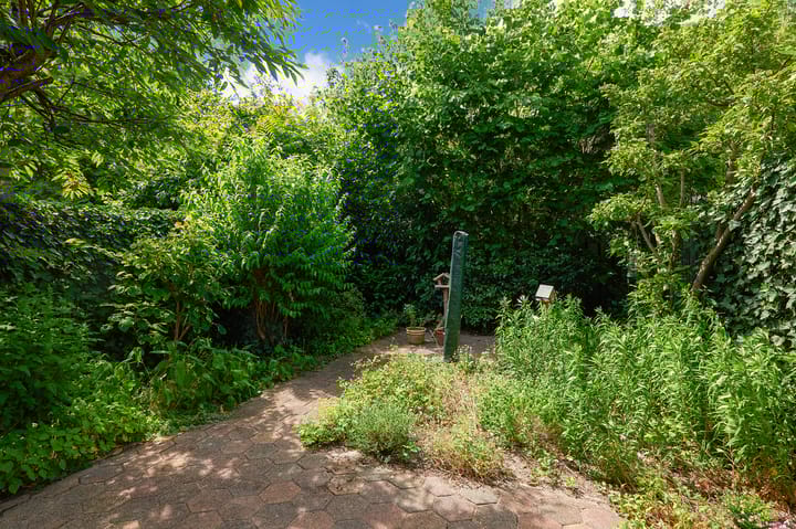 Foto 6 van Nemelaar 10