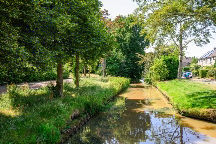 Foto 2 van Aartseveen 91