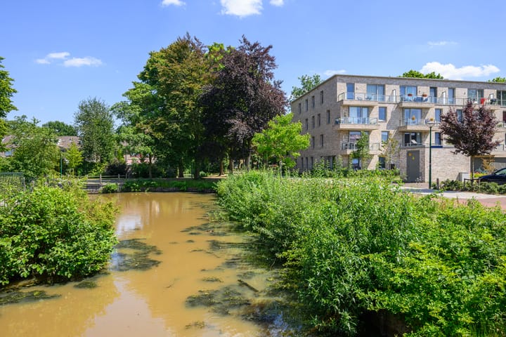 Foto 24 van Aartseveen 91