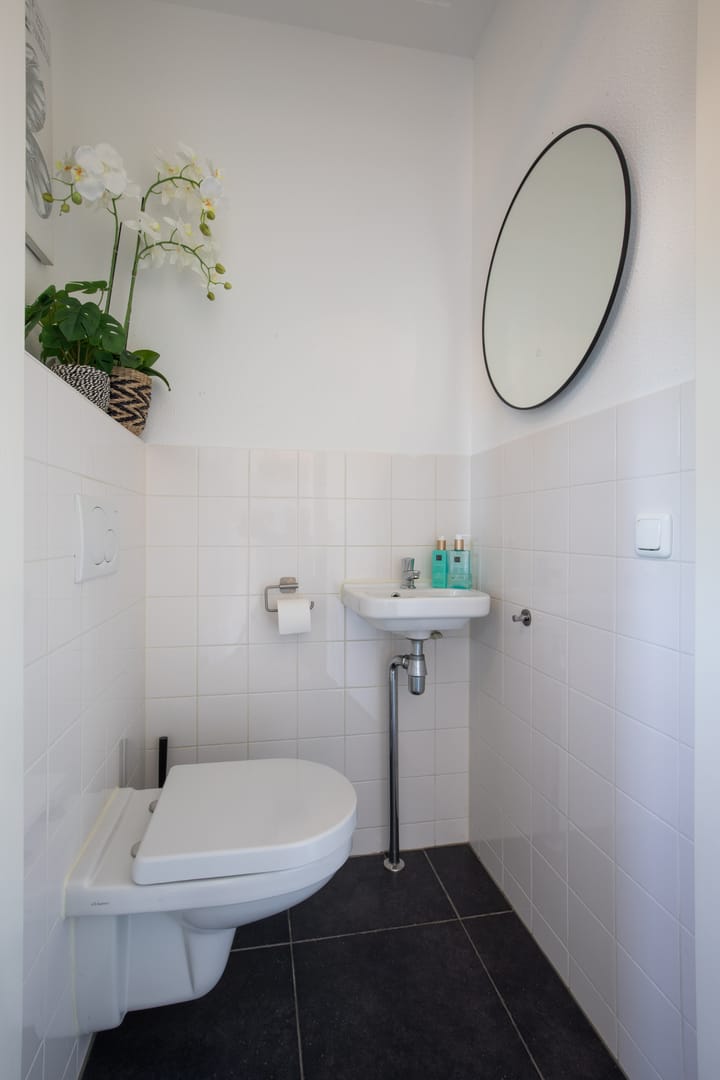 Foto 6 van Bundelzwam 43