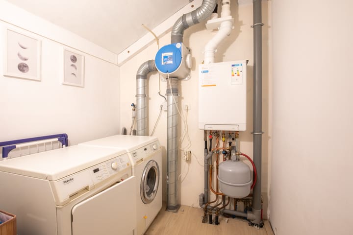 Foto 36 van Bundelzwam 43