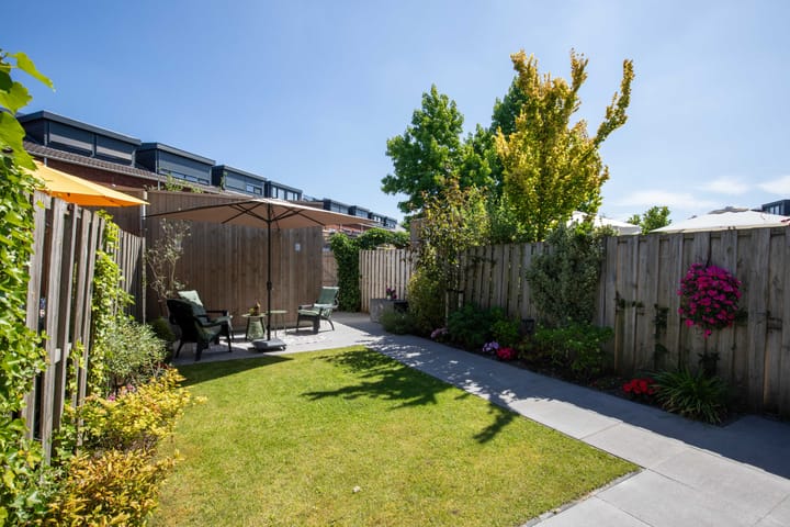 Foto 44 van Bundelzwam 43