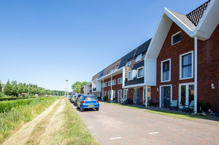 Foto 48 van Bundelzwam 43