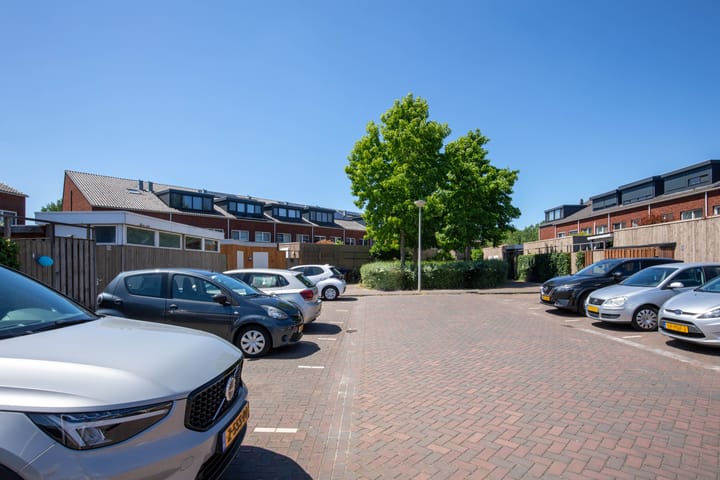 Foto 50 van Bundelzwam 43