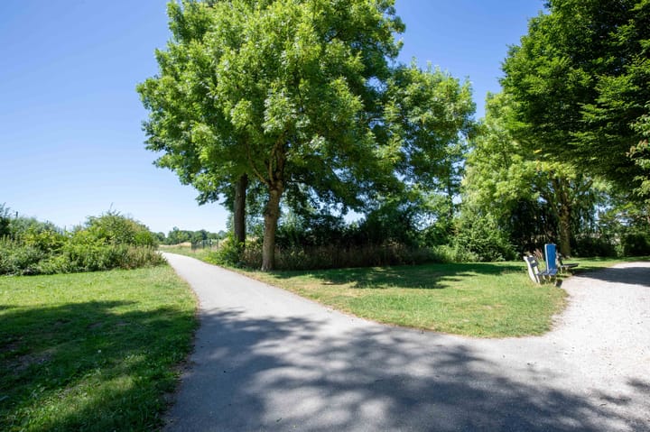 Foto 52 van Bundelzwam 43