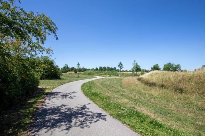 Foto 53 van Bundelzwam 43